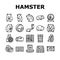 hamster cute animal pet icons set vector