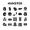 hamster cute animal pet icons set vector