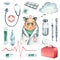 Hamster doctor in a dressing gown, glasses, with a stethoscope, a suitcase and medical instruments, pills, injections