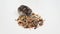 hamster eats feed granular or mixture of seeds on white background.pet shop