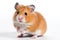 Hamster photo realistic illustration - Generative AI.