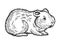 Hamster rodent pet animal sketch engraving vector