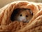 Hamster\\\'s Hideaway: A Cozy Sunlit Sanctuary