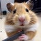 Hamster takes a selfie, muzzle of a hamster close-up,