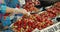 Han Hoa Province, Vietnam, May 9, 2021.Vietnamese old women sell fresh tropical fruits, strawberries at a street market