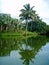 Hanalei River, Kauai