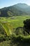 Hanalei Valley lookout at Kauai, Hawaii