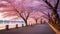 Hanami (Japan) - The tradition of viewing cherry blossoms in spring