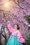 Hanbok: the traditional Korean dress and beautiful Asian girl wi
