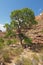 Hance Creek campsite in the Grand Canyon.