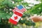 hand arm holding waving Canadian and American flags on green forest park