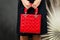 Hand Bag. Woman with Red Handbag. Background