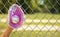 Hand of Baseball Player with Pink Glove and Ball over Field