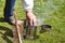 Hand of beekeeper in protective clothing switching on the old smoker with brush on grass garden