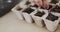 Hand of biracial woman planting seeds in biodegradable seed tray, in slow motion