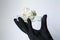 A hand in a black glove holds a petri dish with mold on cauliflower to visualize covid-19 studies on products.