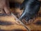 hand in black glove using sharp knife slicing beef steak into pieces on wooden cutting board. top view