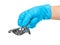 Hand in blue glove holding a metal impression tray for prosthodonticson on white background isolated