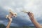 Hand boy with his hand runs the model of the plane into the sky