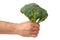 Hand With Broccoli on White