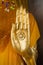 Hand of Buddha statue