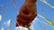 Hand caresses tall long grass in heavenly meadow