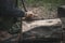 Hand of carpenters using spokeshave to decorate trunk for the woodwork