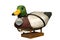 Hand carved Mallard Drake Decoy Duck