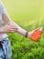 Hand of caucasian man applying sun cream & x28;sunscreen& x29; from a plastic container & x28;bottle& x29; in the summer day.