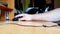 Hand of a Caucasian man working with the mouse on a wooden table, remote work, freelancer, workplace