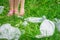 Hand of child cleans green grass from plastic trash