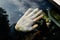 A hand of a child or young woman locked in the car with the reflections of forest trees.