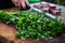 hand chopping herbs for greek-style lamb barbecue marinade