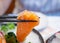 Hand with chopsticks hold salmon sashimi japanese food