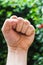 Hand with clenched a fist , against green leaves - Fist, Power, yes , gesture