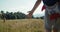 Hand closeup of child on hike journey at summertime walk and touching grass