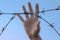 Hand clutch at barbed wire fence on blue sky background