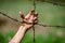 Hand clutch at barbed wire fence on green background
