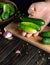 Hand of a cook sorts cucumbers before canning in a jar. Work environment on kitchen table with vegetables and spices. Copy space