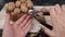 hand cracking walnuts. walnuts and shells on a wooden table. selective focus