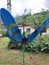 Hand crafted blue butterfly in the middle of a company garden