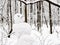 Hand-crafted snowman closeup in snow-covered park