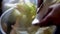 Hand cutting and slicing cabbage vegetable into small part