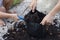 Hand of daughter holding a shovel to help father scoop up soil mixed with coconut dust put in a black plastic bag.