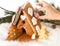 Hand decorating gingerbread house