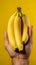 hand delicately holding a bunch of ripe bananas against a clean and minimalist background.