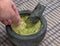 hand dipping tortilla chip into guacamole inside molcajete (mexican mortar and pestle, grinding spices) avocado dip