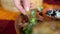 Hand dipping tortilla chip into plate of traditional pico de gallo