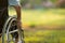 Hand of disabled elderly person outside in green nature at park,copy space,old woman sitting on her wheelchair looking forward,