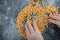 Hand distributing uncooked popcorn seeds on a marble background